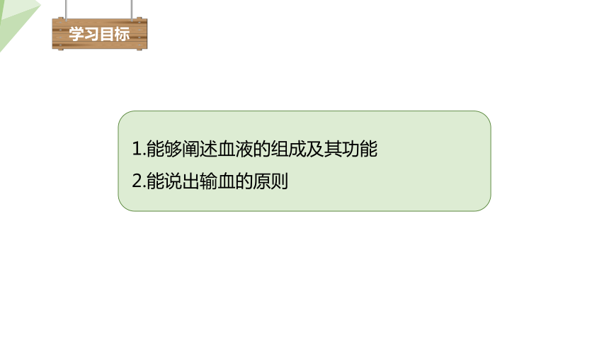 4.9.1 血液 课件（共22张PPT） 2023-2024学年初中生物北师版七年级下册