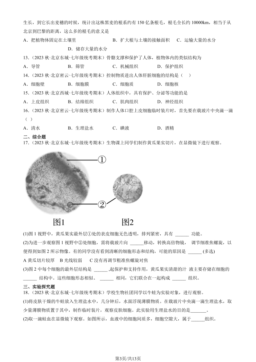 2023北京重点校初一（上）期末生物汇编：生物体的结构章节综合习题（PDF版含解析）