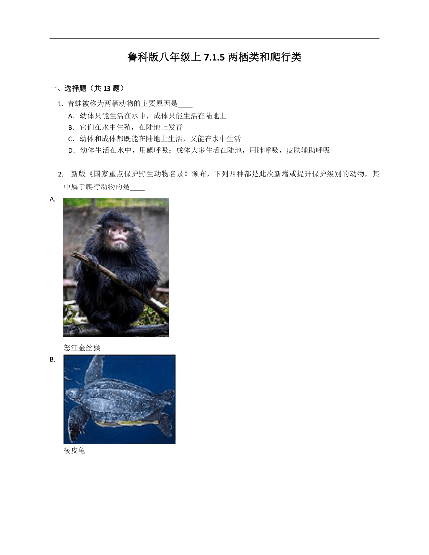鲁科版八年级上7.1.5两栖类和爬行类 试卷