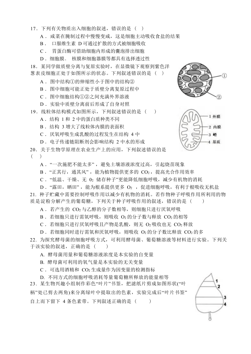 浙江省绍兴市越城区2023-2024学年高一上学期12月月考测试生物学试卷（含答案）