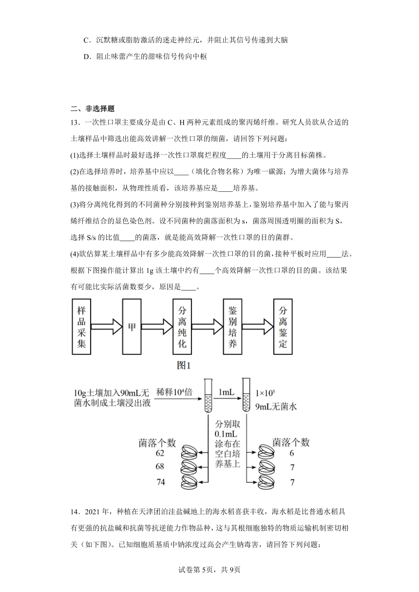 天津市红桥区2023-2024学年高三下学期第一次模拟考试生物试题（含解析）