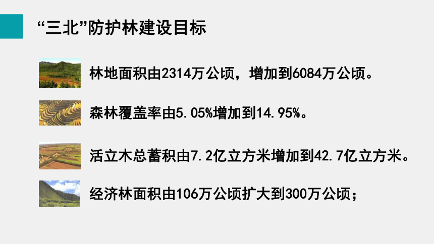 3.7.3 我国的绿色生态工程 课件（共19张PPT）生物北师大版七年级上册