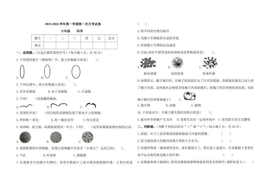 甘肃省镇原县2023-2024学年六年级上学期第一次月考科学试卷（含答案）