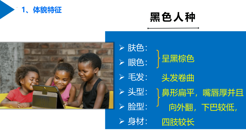 2023年秋湘教版地理七年级上册3.2世界的人种 课件(共15张PPT)