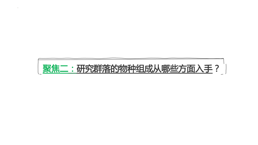 2.1群落的结构课件 （共33张PPT）人教版选择性必修2