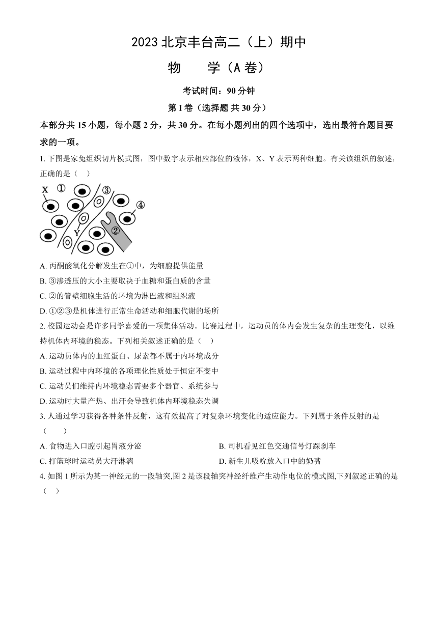 2023北京丰台高二（上）期中生物（A卷）（教师版）（有解析）