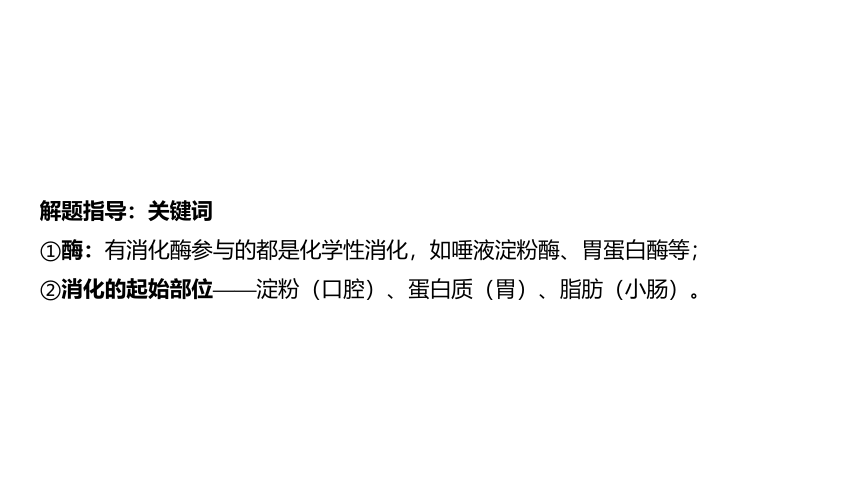 2024年山东省中考生物（济南版）一轮复习 3.1人的生活需要营养课件（41张PPT)