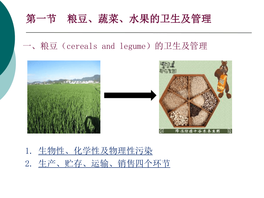 11各类食品卫生及其管理-1 课件(共32张PPT)- 《营养与食品卫生学》同步教学（人卫版·第7版）