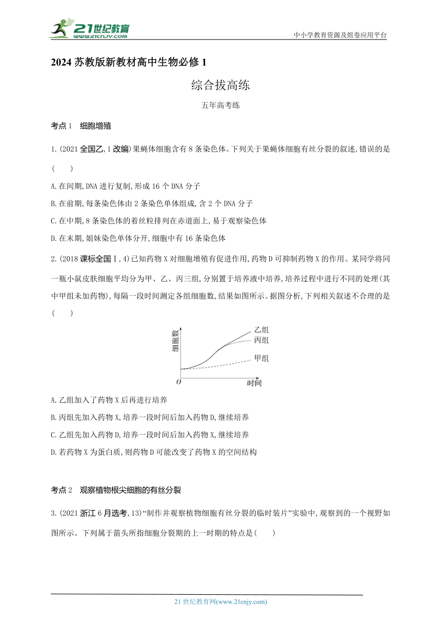 2024苏教版新教材高中生物必修1同步练习--第四章　 细胞增殖、分化、衰老和死亡综合拔高练（含答案）