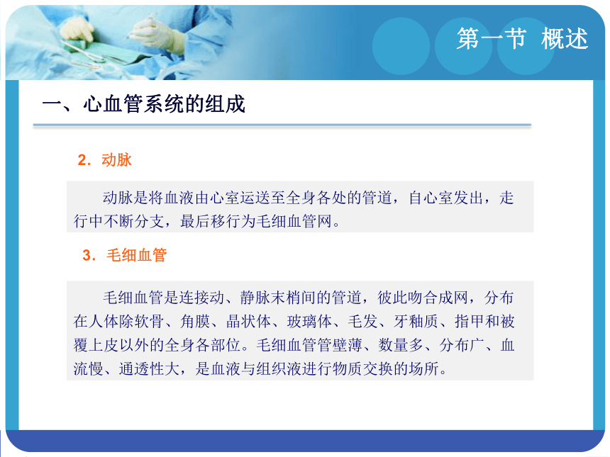 8.1概述 课件(共12张PPT)-《解剖学基础》同步教学（江苏大学出版社）