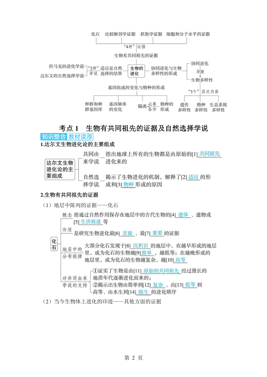 生物学高考备考学案：7-3  生物的进化（含答案）