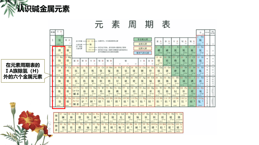 化学人教版（2019）必修第一册4.1.3原子结构与元素的性质  课件（共19张ppt）