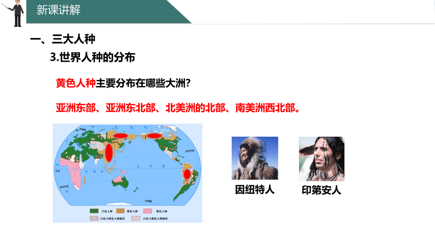 5.2 世界的人种、语言和宗教 课件(共37张PPT)2023-2024学年七年级地理上学期商务星球版