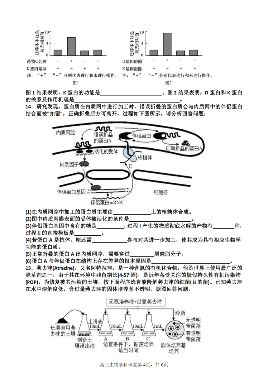 天津市武清区杨村第一高级中学校2023-2024学年高三上学期开学学业质量检测生物学试卷（扫描版含答案）