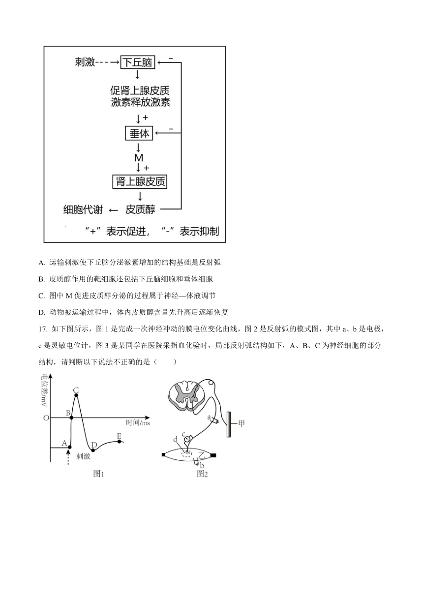 四川省德阳市什邡名校2023-2024学年高二上学期11月期中考试生物（解析版）