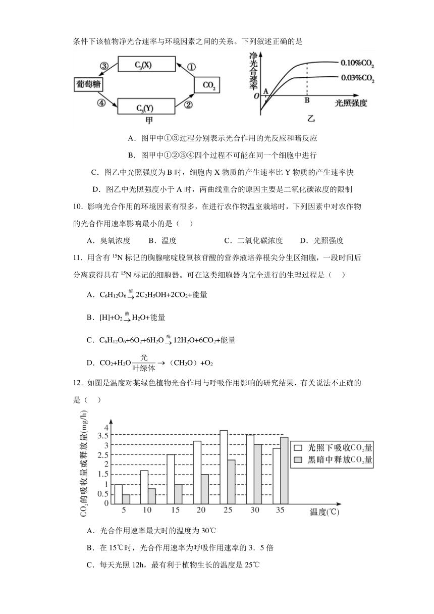 5.4 光合作用与能量转化测试题（含解析）2023-2024学年高中生物学人教版（2019）必修1