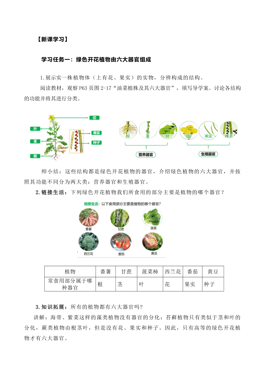 【核心素养目标】 2.2.3植物体的结构层次（教学设计）人教版七年级生物上册