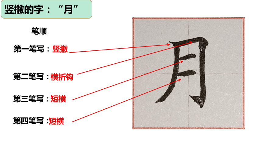 深圳市学校一年级书法第7课《竖撇、横撇的写法》课件