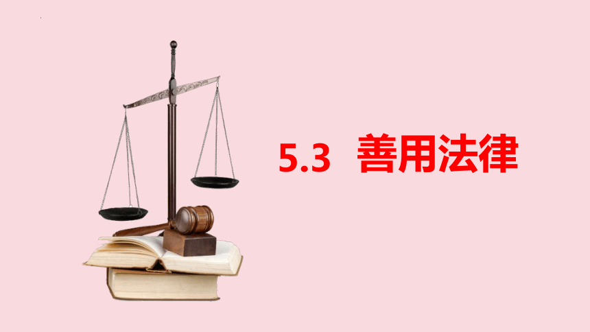5.3善用法律 课件（共29张PPT）