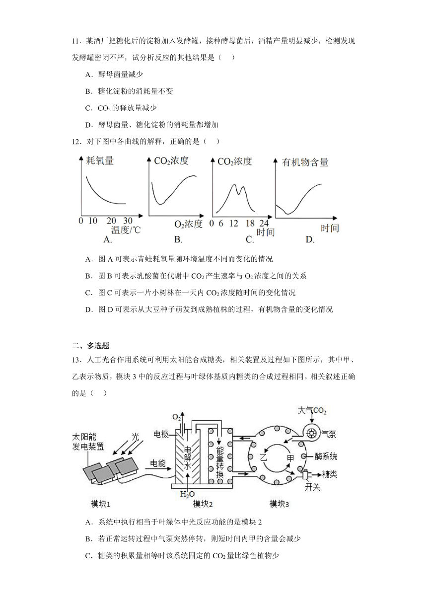 3.4影响光合作用和细胞呼吸的环境因素 测试题（有解析）-2023-2024学年高中生物学苏教版（2019）必修第一册