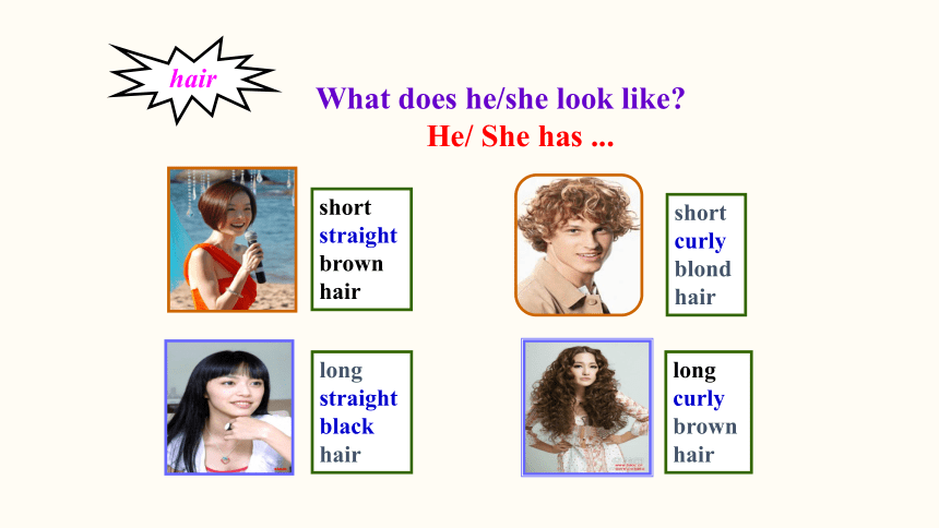 Unit 9 What does he look like?Section A (Grammar Focus-3d) 课件 2023-2024学年人教版英语七年级下册 (共22张PPT)