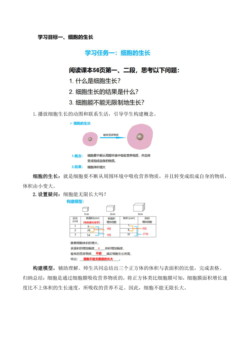 【核心素养目标】 2.2.1细胞通过分裂产生新细胞（教学设计）人教版七年级生物上册