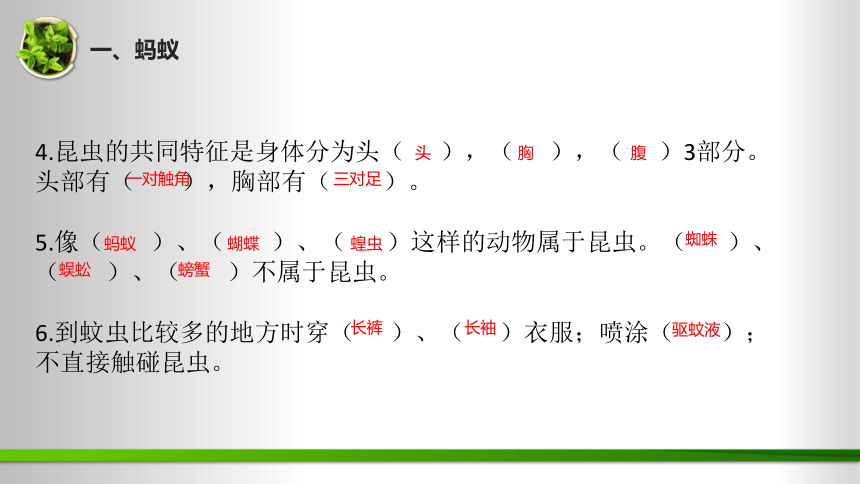 第1单元 动物王国（复习课件）(共24张PPT)-2023-2024学年四年级科学上册期末核心考点集训（青岛版）