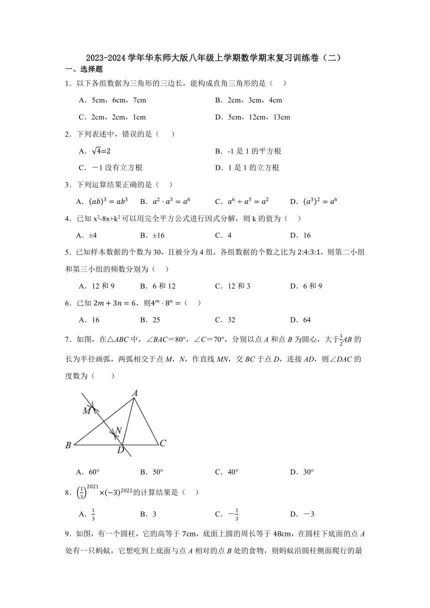 2023-2024学年华东师大版数学八年级上册期末复习训练卷（二）（无答案）