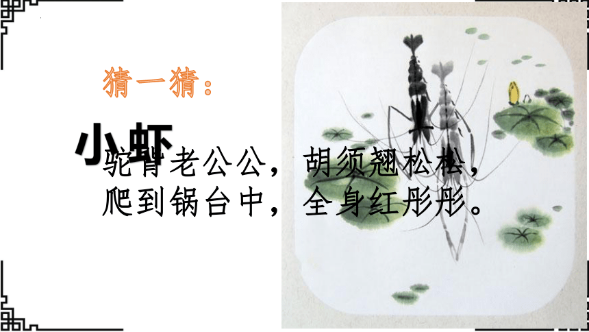 15.《小虾》课件(共24张PPT)