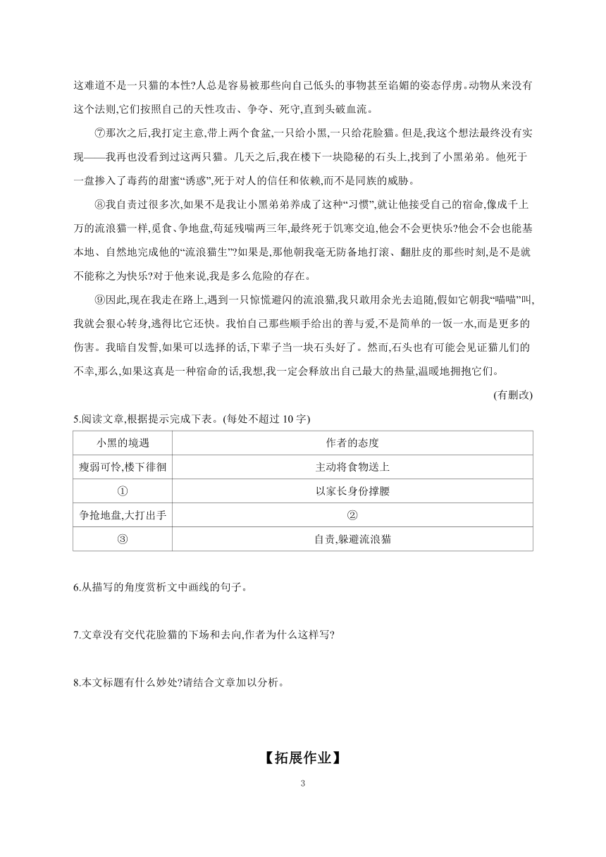2023-2024学年初中语文部编版七年级上册 课时作业 16 猫（含答案）