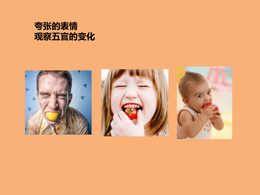 岭南版美术二年级下册8.吃瓜果的人 课件(共13张PPT)