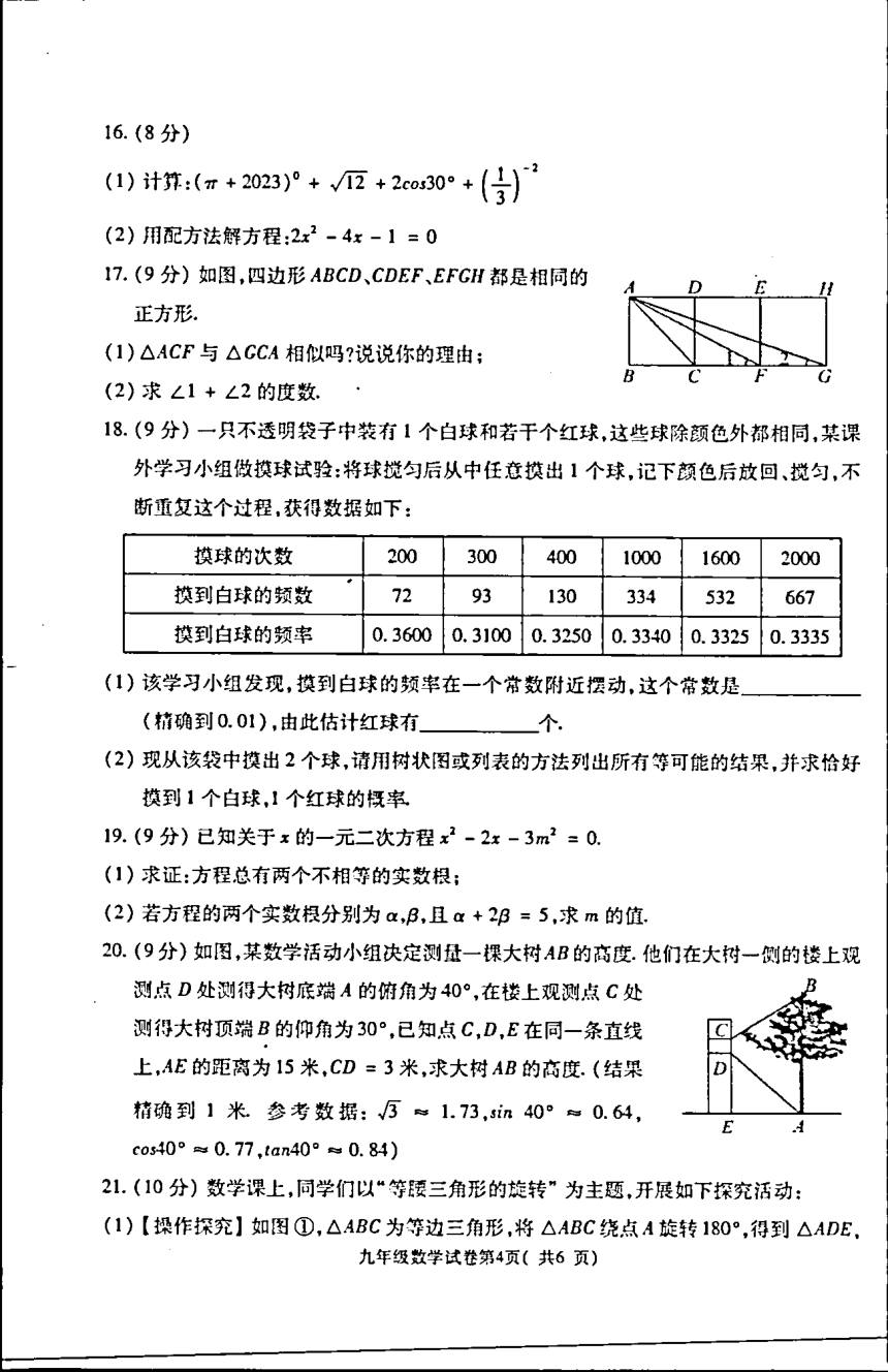 河南省洛阳市新安县2023-2024学年九年级上学期期末质量检测数学试卷（含答案）