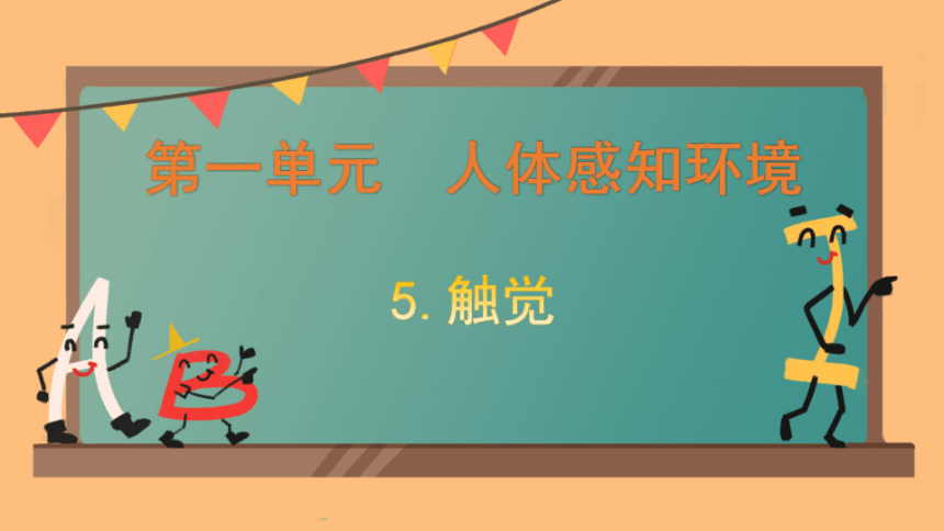 青岛版（六三制2017秋）科学六年级下册5  触觉    课件(共11张PPT)