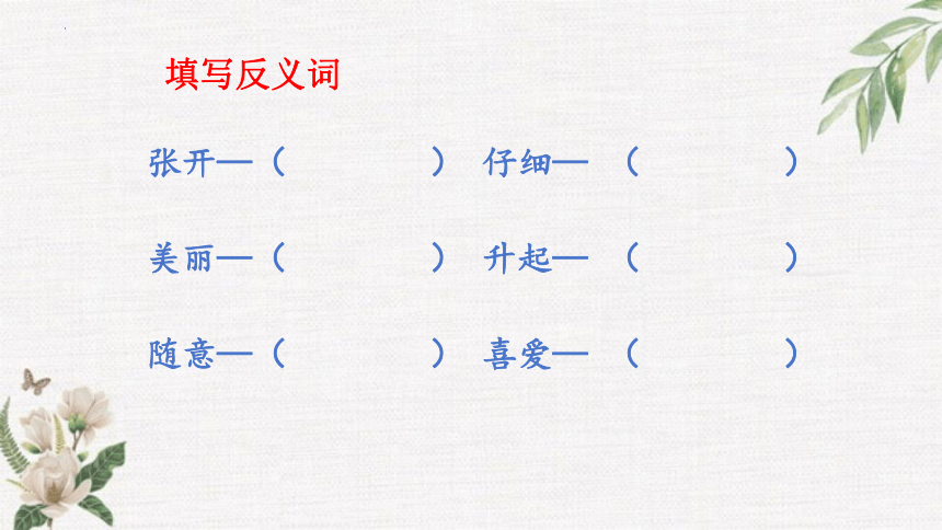 16.《金色的草地》课件(共17张PPT)