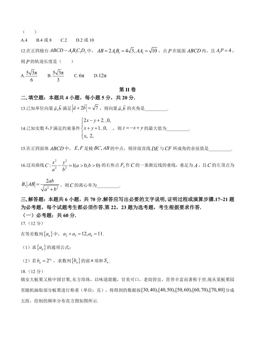 陕西省商洛市2023-2024学年高三上学期12月第一次模拟检测文科数学试题（含解析）