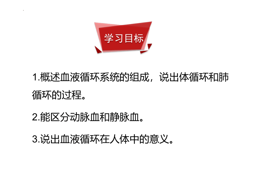 3.3.3 物质运输的途径课件(共39张PPT) 济南版生物七年级下册