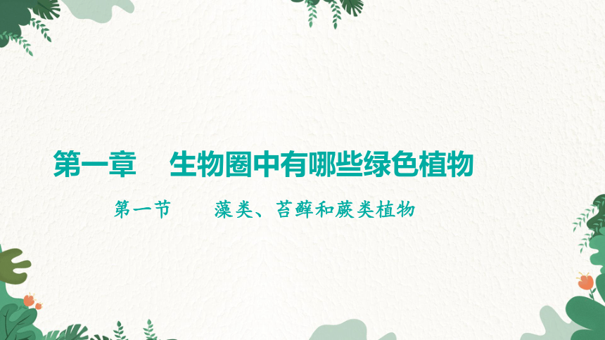 3.1.1 藻类、苔藓和蕨类植物习题课件(共21张PPT)人教版生物七年级上册