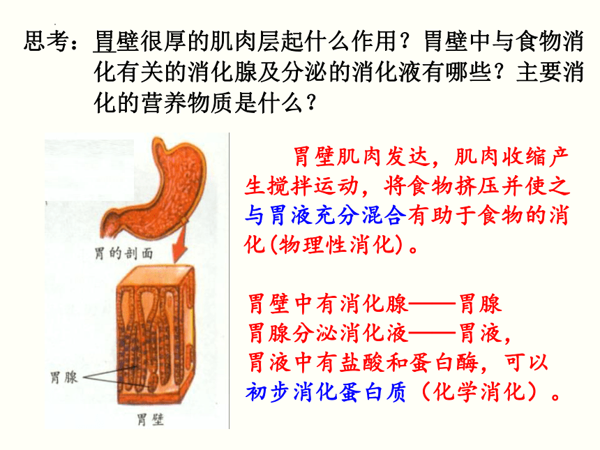 4.2.2 消化和吸收（第2课时） 课件（20张PPT）2022-2023学年人教版生物七年级下册