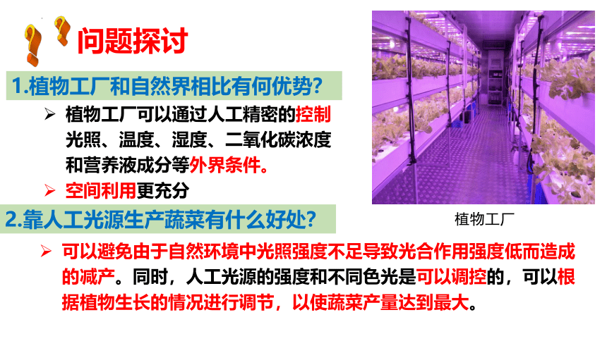 5.4 .1光合作用与能量转化课件(共28张PPT)  2022—2023学年高一上学期生物人教版必修1