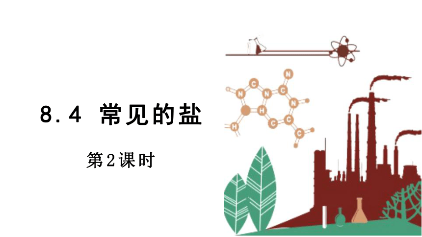 8.4 常见的盐 第2课时 课件(共20张PPT) 2023-2024学年科粤版化学九年级下册