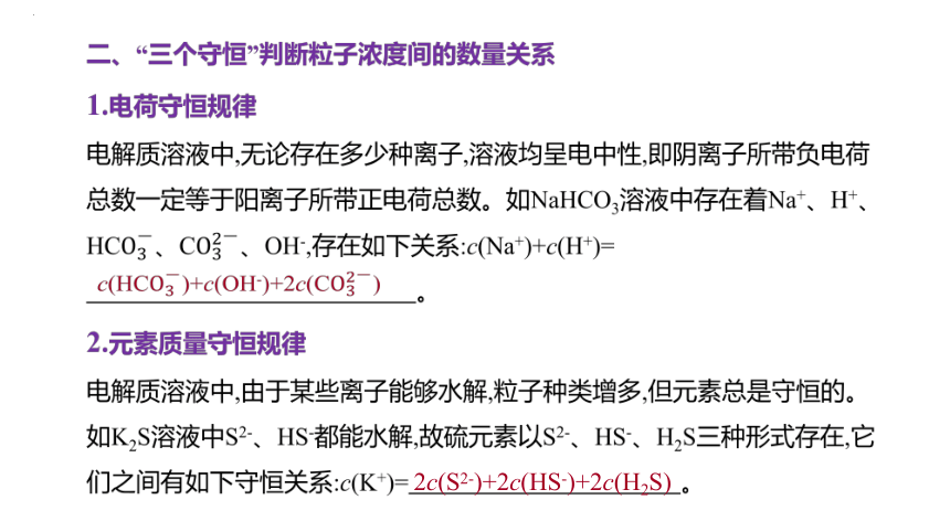 2024届高三化学一轮复习课件：粒子浓度的大小比较  课件(共26张PPT)