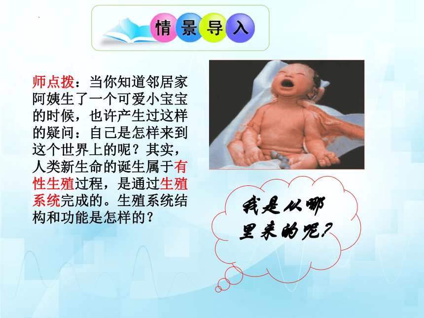 4.3.1婴儿的诞生（第一课时）课件(共25张PPT)2023-2024学年济南版生物八年级上册