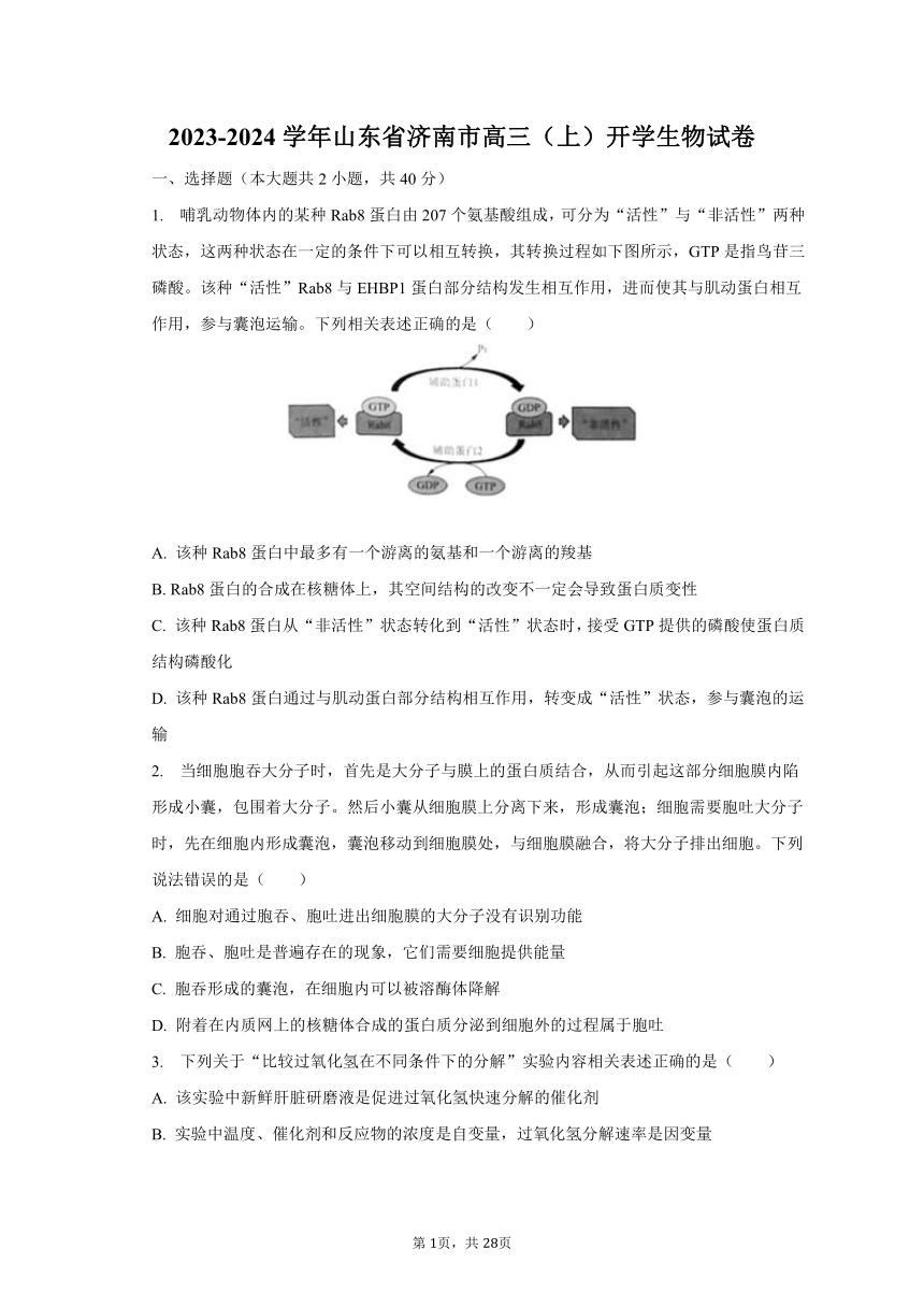 2023-2024学年山东省济南市高三（上）开学生物试卷（含解析）