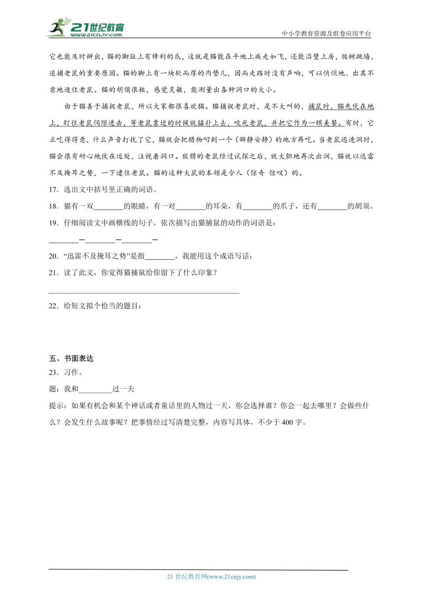 统编版语文四年级上册期中综合自检卷（二）（含答案）