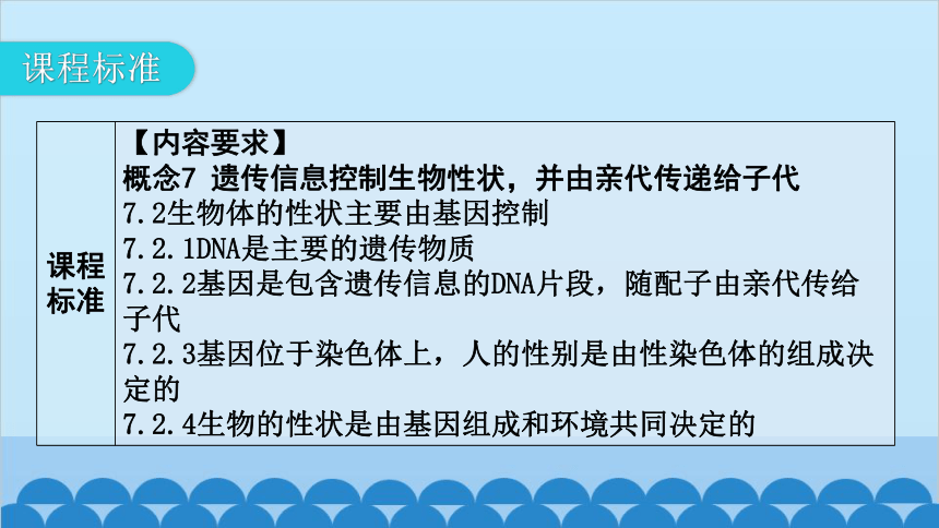 6.20生物的遗传和变异 章 末 总 结课件(共27张PPT)北师大版生物八年级上册