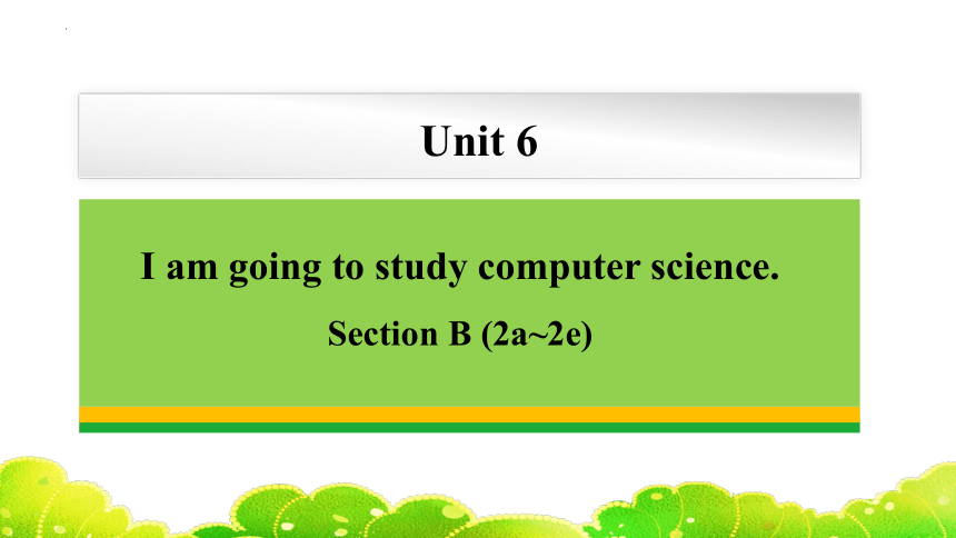 Unit 6  I'm going to study computer science. Section B (2a~2e)课件(共37张PPT)2023-2024学年人教版八年级英语上册