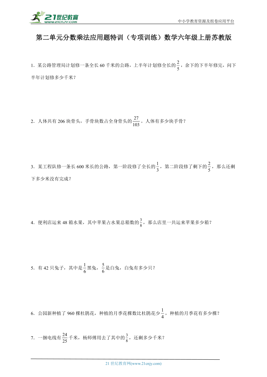 第二单元分数乘法应用题特训（专项训练）数学六年级上册苏教版（含解析）