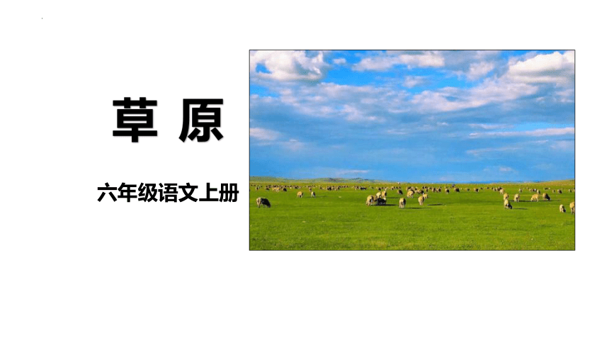 1《草原》课件(共38张PPT)