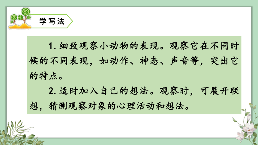 统编版语文三年级上册 习作 我眼中的缤纷世界  课件（共38张PPT）