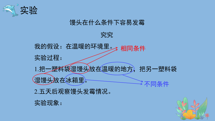 科学大象版（2017秋）六年级上册1.3《发霉的馒头》课件（共22张PPT）